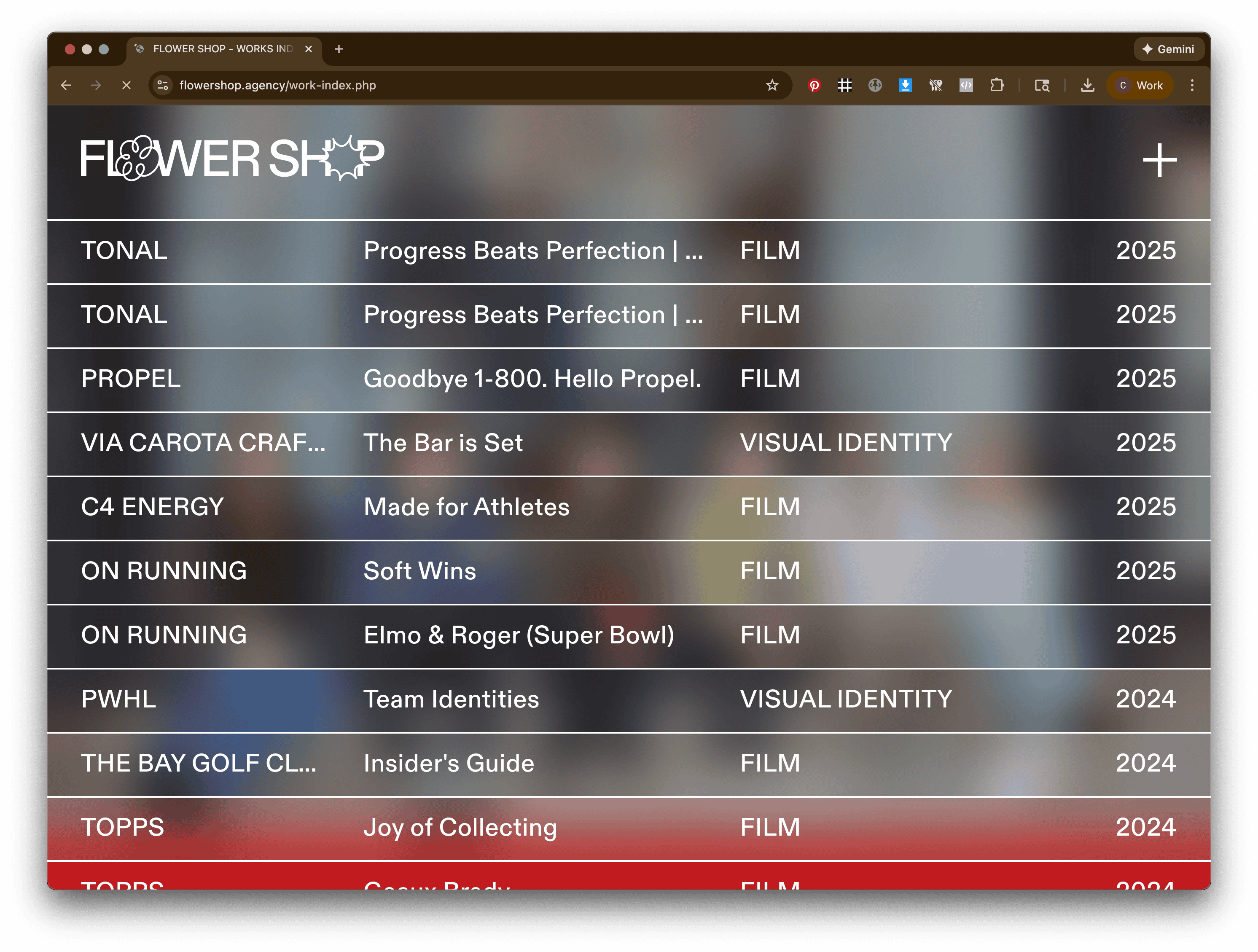 Carter Houck - Flower Shop Agency Launch - Flower Shop Agency Carter Houck - Flower Shop Agency Launch - Flower Shop Agency